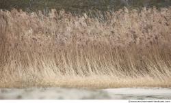 Photo of Mixed Textures